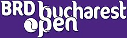 Tennis - Circuit WTA - Bucarest - Palmarès