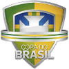 Football - Coupe du Brésil - Palmarès