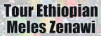 Cyclisme sur route - Tour Ethiopian Meles Zenawi - Palmarès