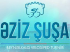 Cyclisme sur route - Aziz Shusha - 2024 - Résultats détaillés