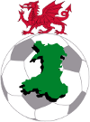 Football - Championnat du Pays de Galles - Premier League - Ligue de Championnat - 2023/2024 - Résultats détaillés