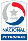 Football - Championnat du Chili - Primera División - 2024 - Accueil