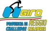 Cyclisme sur route - Tour de la Province de Reggio de Calabre - Statistiques