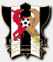 Cefn Druids A.F.C. (GAL)