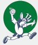 RK Celje Pivovarna Lasko
