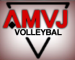 AMVJ Amstelveen (P-B)