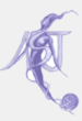 ASJ Soyaux Charente