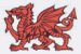 Pays de Galles U-21