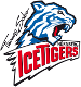 Nuremberg Ice Tigers