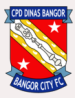 FC Bangor City