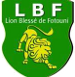 Lion Blessé de Fotouni (CAM)
