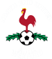 North End United (IRL)