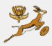 Afrique du Sud 7s