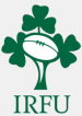 Irlande fauteuil roulant