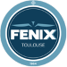 FENIX Toulouse HB
