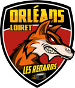 Orléans Loiret Hockey 45