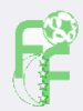 Comores U-20