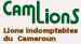 Cameroun U-19